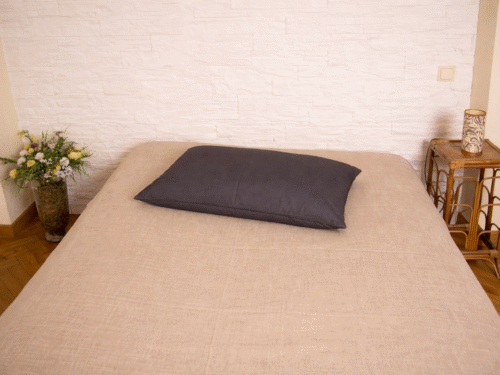 Lina spilvendrāna 50x70cm (tumši pelēka)